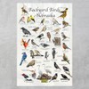 Where's Wildlife Backyard Birds of Nebraska Bird Identification Poster (8"