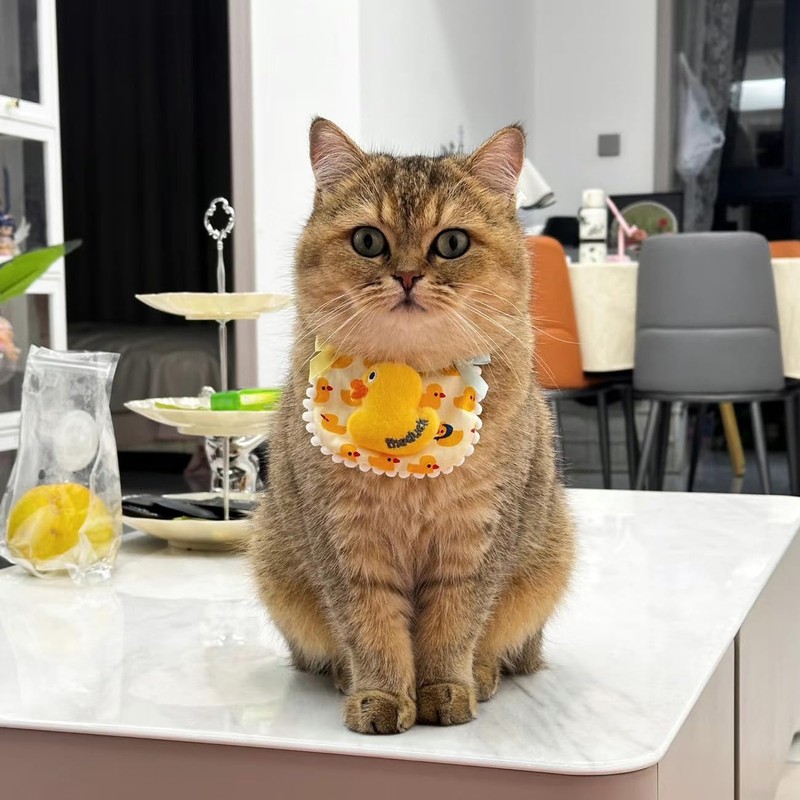 Hjvvr Pet Bib,Cat Collar Decoration,Adjustable Cat Scarf Neckwear with Bow