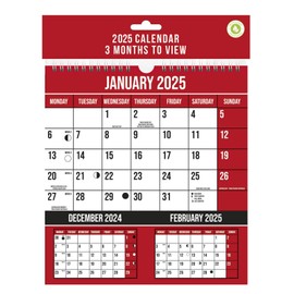 2025 Wall Calendar 3 Months to View Red Planner Hanging Spiral Bound 230 x 248mm