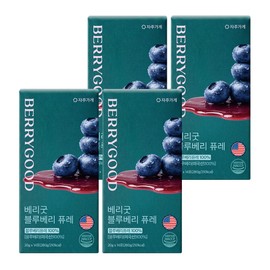 Jaju Store USA Berry Good Blueberry Puree 100% Sticks 14 Packets, 4 Pieces / 자주가게 미국산 베리굿 블루베리 퓨레 100% 스틱 14포, 4개