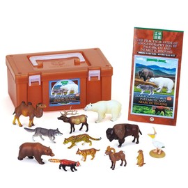 Carolata Animal Geographic District 3 Figure, 3D Picture Book (Old North and New Taipei Wards, Animals, 12 Types, Includes Instruction Book), Realistic Figure Box, Toy, Educational Toy, Present, Gift,