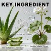 Aloe Vera Under Eye Patches 60 Pcs, Hydrating Eye Mask