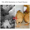 Comederos Automático Para Pollos ,gallo,codorniz, 6 Piezas