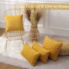 CJWLKJ 2Pcs Soft Faux Fur Throw Pillow Covers 18x18 -