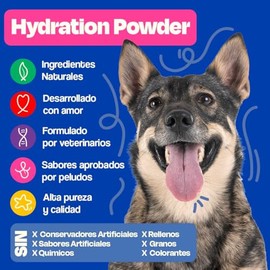 Dogelthy Hydration Powder. Electrolitos para Perro en Polvo Sabor Res. Suero Oral para Perro. Polvo Hidratante para Mezclar con Agua Ideal para Entrenamientos, Paseos o Viajes (150 gr)