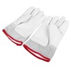 Work Gloves Waterproof Cowhide Cold Resistant Low Temperature Liquid Ammonia