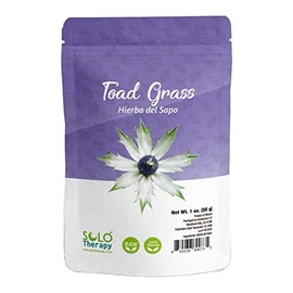 Hierba del Sapo 28 Grams, Frog Grass, Toad grass, Eryngium, Hierva del Sapo Tea, Wildcrafted Mexican Herbs, Resealable Bag, Mexican Thistle, Product of México