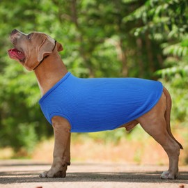 Hjumarayan Dog T Shirt - Thin Knitted Jumpers Soft Stretchy Clothes for Small Dogs Shirts, Striped Tshirt for Maltese, Shih Tzu, Bichon Frise, Mini Dachshund (Sapphire Blue S)