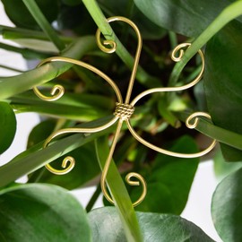 Goooxim 5PCS Monstera Plant Support Hook - 6.5 * 6.5IN Durable Metal Stem Stabilizer for Monstera Plants and Fishbone Cactus - Gentle Protection Leaf Holder - Easy Installation - 5 Piece Set