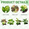 XLTXWD 4Pcs Reptile Accessories, Vivarium Decoration with Three Artificial Plants,