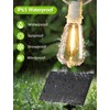 Larkvue 96FT(2x48FT) Solar Outdoor String Lights with Remote & Timer,