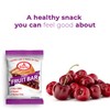 Betty Lou's Fruit Bars, Cherry Pack of 12, Gluten Free,