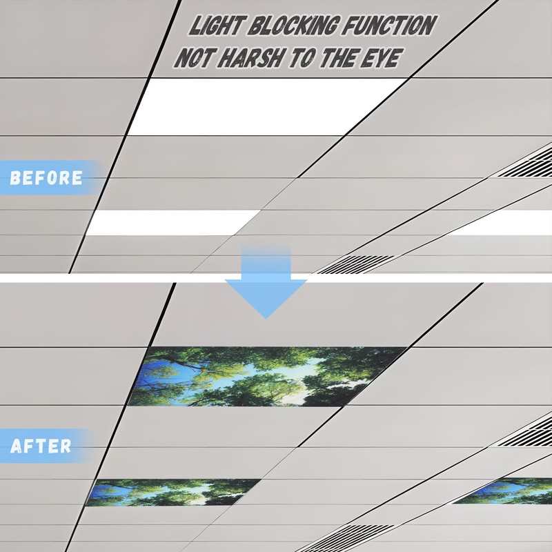 4 Pack Fluorescent Light Cover with 4 x 2 Feet