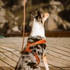Hurtta 14" Padded Dog Harness Cinnamon