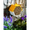 Evergreen Garden Busy Bee Hexagonal House - 8 x 4