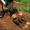 FORCOLID Garden Fork, 4-Tine Spading Digging Fork, Pitch Fork-45Inch, Forged