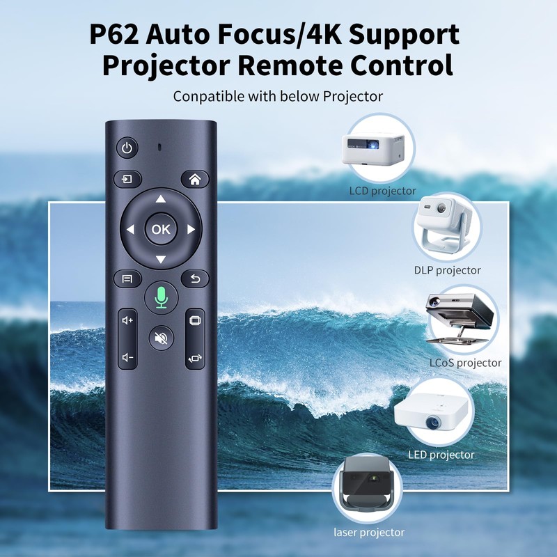 WDZP New Voice Remote Control Replacement for WiMiUS P62 Auto