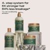 Zm Máscara Capilar Sheamoisture Bond Repair Amla Oil 325ml
