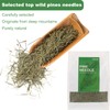 KASVAN Organic Pine Needle Tea (8.8 oz) - White Pine