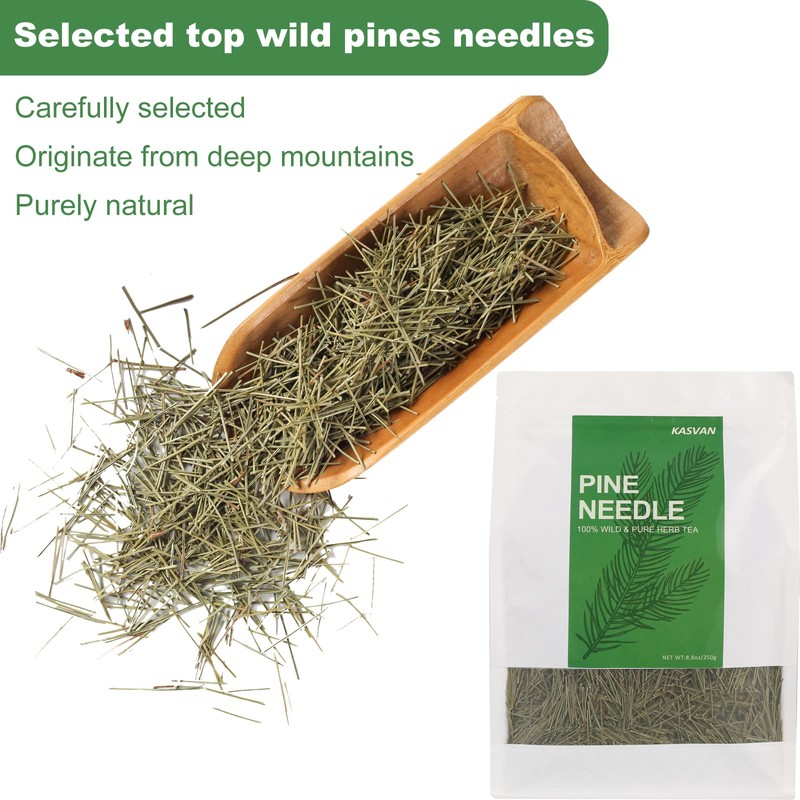 KASVAN Organic Pine Needle Tea (8.8 oz) - White Pine