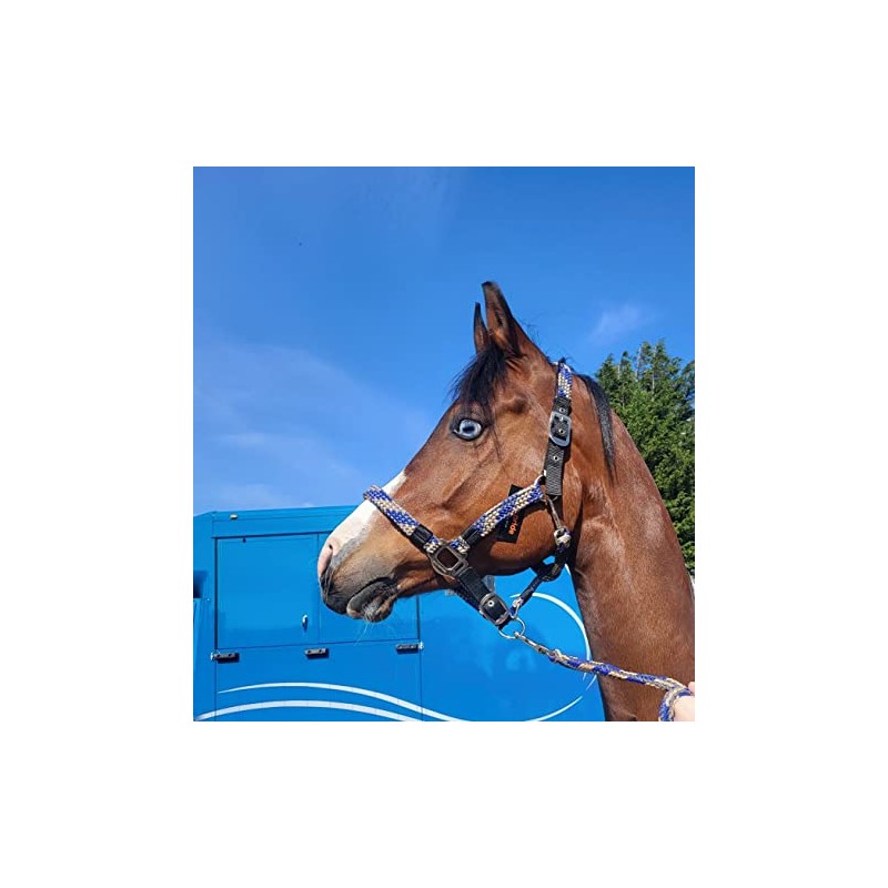 Equipride Braided Headcollar Lead Rope Set Size Full-Shetland (Pony, Royal