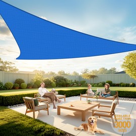 Artpuch Sun Shade Sail, 8'x8'x8' Blue Triangle, Curved Edged Commercial Grade 185GSM Permeable Outdoor Shade Cloth for Deck, Backyard, Patio (Custom Sizes Made)