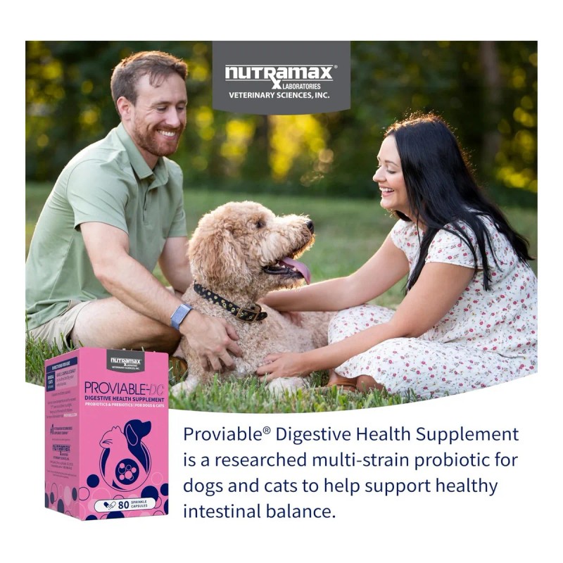 Nutramax Proviable Health Supplement For Cats And Dogs