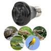 Reptile Ceramic Heating Lamp for Heat Preservation - Pig Lizard