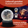 10010 Snow Globe Stock Exchange, Glass Globe Bull & Bear,