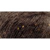 Schulana Kid-Seta Paillettes, Mohair, Brown, 25 g, 125