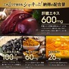 Fine Gold Shijimi Turmeric Liver Extract Mega Pack 3 Pills