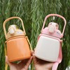 Insulated Water Bottle 650ML 304 Stainless Steel Straw Bottle for