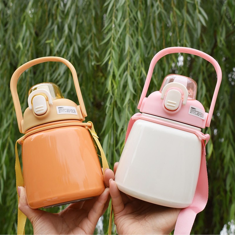 Insulated Water Bottle 650ML 304 Stainless Steel Straw Bottle for