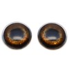 Medium Brown Dog Glass Eyes Realistic Animal Pair for Puppy