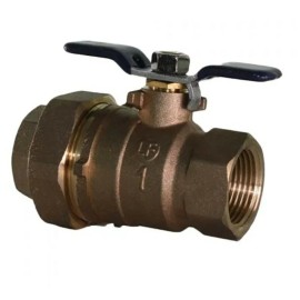 Wilkins, Watts, Febco 1" FPT Union Ball Valve Non Tapped Test Port Lead Free Backflow PVB 1 in Febco