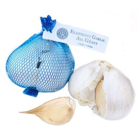 Kejora Fresh Elephant Garlic Bulbs - Eating and Planting (from California) (5)
