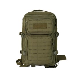 Koisgext Small 40L Military Backpack Tactical Backpack Assault Pack Bug Out Bag with Molle for Hiking Rucksack Trekking (Green)