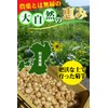 &WELL 菊芋イヌリン 水溶性食物繊維 粉末をギュッと固めたタブレット 飲みやすい186粒 (3)