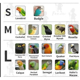 Bird Flight Suit Diapers for Monk Parakeets, Cockatiels - Parrot Clothes, Training Nappy Suit Liners (Large, Red-B)