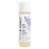 Honest Shampoo & Body Wash, Ultra Calming Dreamy Lavender, 10