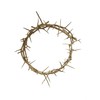 Crown of Thorns from The Holy Land 7"
