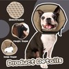 Dog Cone Collar After Surgery, Adjustable Dog Recovery Cone Collar,