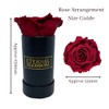 Eternal Blossom Preserved Real Infinity Rose | Eternal Rose That