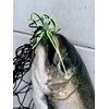5 Pack 4" Salmon Trolling Fly & Leader Rig UV