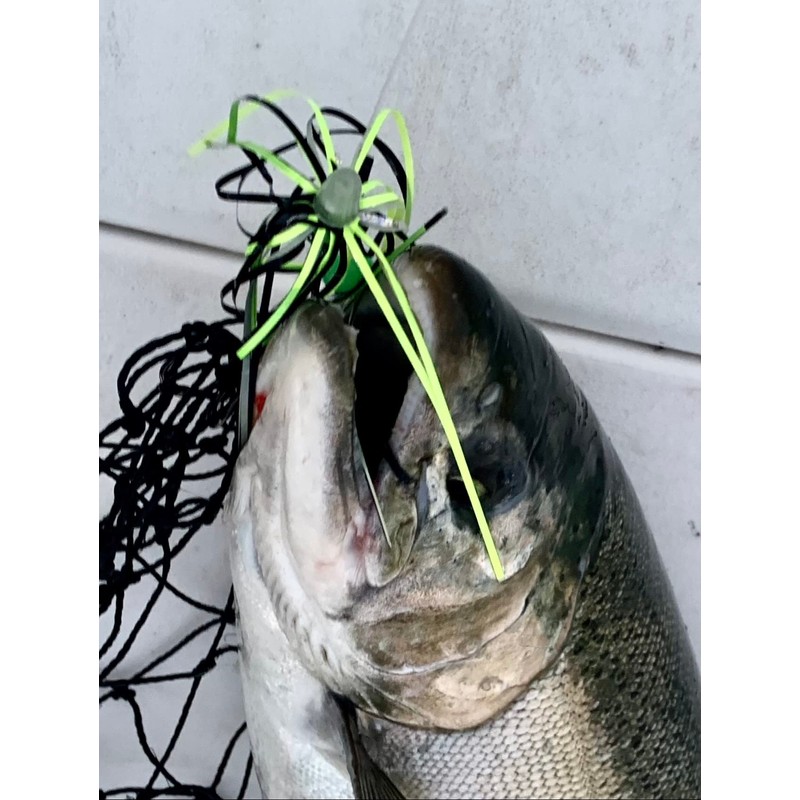 5 Pack 4" Salmon Trolling Fly & Leader Rig UV