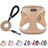 PUKAKO Puppy Harness and Leash Set, Small Dog Harness and