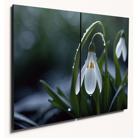 The Plum Penguin Rustic Wooden Snowdrop Wall Art, Dual A4 MDF Panels, Abstract Dewdrop Petal Print for Home Decor Canvas Alternative 40 x 30cm