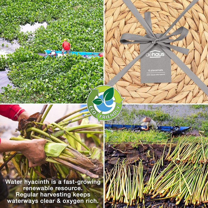 Dehaus® Round Placemats - Set of 6, 30cm Water Hyacinth