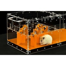 GuineaLoft™ Small Pet Maze - Build a Small pet Maze in Your own Style. Thumb Screws for Easy Installation, DIY Expandable, Suitable for Small Animals That Love to Explore - Guinea Loft Exclusive