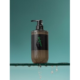 For Red Visa Perfume Hair Shampoo 300ml / 포레드비자 퍼퓸 헤어샴푸 300ml